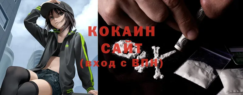 COCAIN FishScale  купить  цена  Цоци-Юрт 